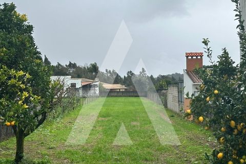 Helårsgrund i Agueda, Aveiro, Agueda - € 50.000 | Ref: 1051383/26 OB - foto 2