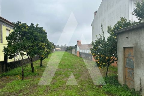 Helårsgrund i Agueda, Aveiro, Agueda - € 50.000 | Ref: 1051383/26 OB - foto 3