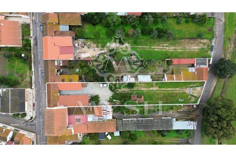 Villa i Chamusca, Santarem, Chamusca - € 260.000 | Ref: 777-19 - foto 3