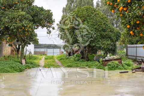 Villa i Chamusca, Santarem, Chamusca - € 260.000 | Ref: 777-19 - foto 6