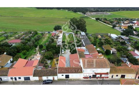 Villa i Chamusca, Santarem, Chamusca - € 260.000 | Ref: 777-19 - foto 25