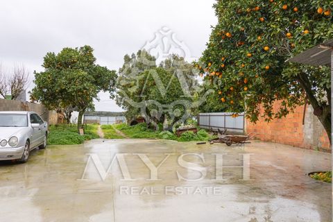 Villa i Chamusca, Santarem, Chamusca - € 260.000 | Ref: 777-19 - foto 32