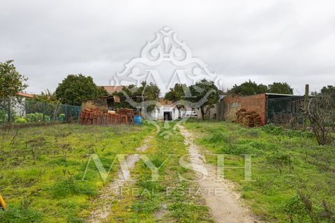 Villa i Chamusca, Santarem, Chamusca - € 260.000 | Ref: 777-19 - foto 35