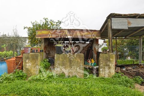 Villa i Chamusca, Santarem, Chamusca - € 260.000 | Ref: 777-19 - foto 37