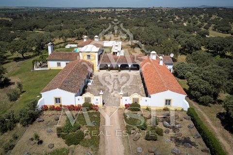Landejendom i Monforte, Portalegre, Monforte - € 3.200.000 | Ref: Herd_888 - foto 8