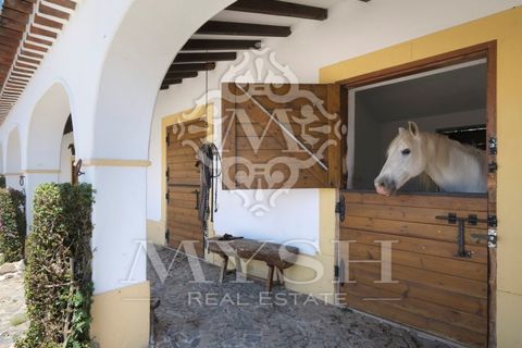 Landejendom i Monforte, Portalegre, Monforte - € 3.200.000 | Ref: Herd_888 - foto 2