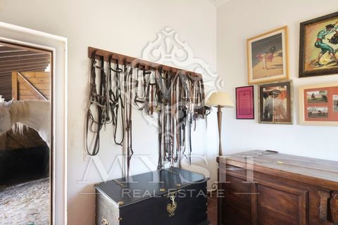 Landejendom i Monforte, Portalegre, Monforte - € 3.200.000 | Ref: Herd_888 - foto 10