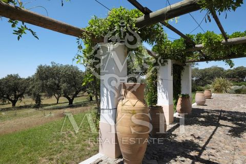 Landejendom i Monforte, Portalegre, Monforte - € 3.200.000 | Ref: Herd_888 - foto 20