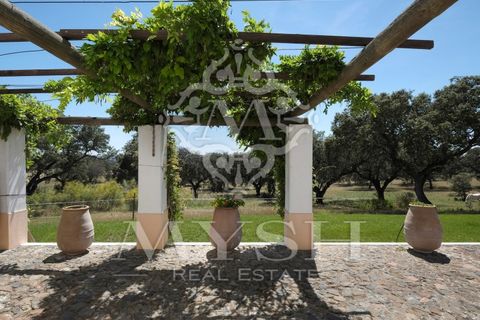 Landejendom i Monforte, Portalegre, Monforte - € 3.200.000 | Ref: Herd_888 - foto 39
