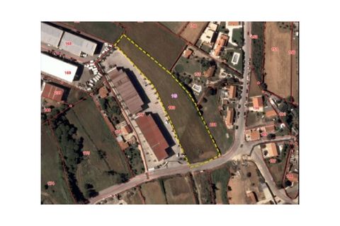 Helårsgrund i Sintra, Lisbon, Sintra - € 350.000 | Ref: KWPT-011569 - foto 4