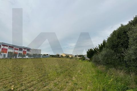 Helårsgrund i Sintra, Lisbon, Sintra - € 350.000 | Ref: KWPT-011569 - foto 14