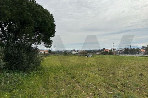 Helårsgrund i Sintra, Lisbon, Sintra - € 350.000 | Ref: KWPT-011569 - foto 15