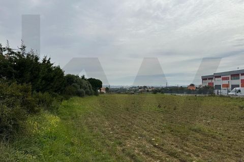 Helårsgrund i Sintra, Lisbon, Sintra - € 350.000 | Ref: KWPT-011569 - foto 19