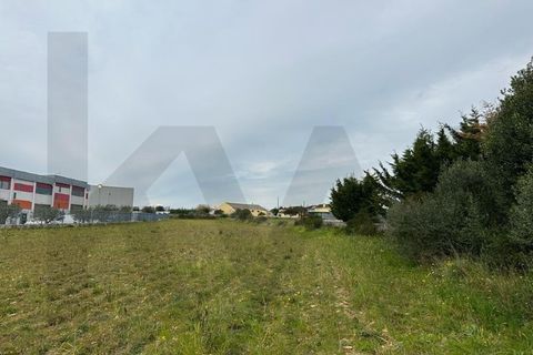 Helårsgrund i Sintra, Lisbon, Sintra - € 350.000 | Ref: KWPT-011569 - foto 25