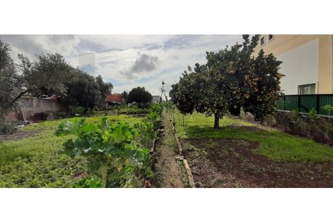 Terra a Massama, Lisbon, Massama - € 490.000 | Ref: KWPT-021755 - foto 10