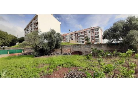 Terra a Massama, Lisbon, Massama - € 490.000 | Ref: KWPT-021755 - foto 12