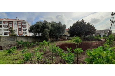 Terra a Massama, Lisbon, Massama - € 490.000 | Ref: KWPT-021755 - foto 13