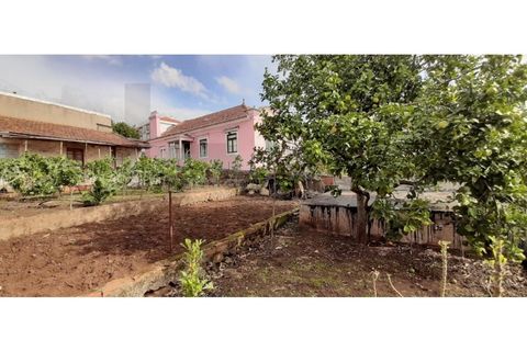 Terra a Massama, Lisbon, Massama - € 490.000 | Ref: KWPT-021755 - foto 14