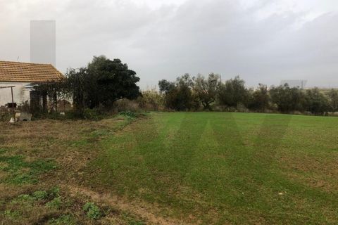 Terra a Carregado, Lisbon, Carregado - € 380.000 | Ref: KWPT-011568 - foto 9