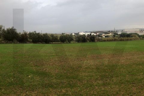 Terra a Carregado, Lisbon, Carregado - € 380.000 | Ref: KWPT-011568 - foto 10