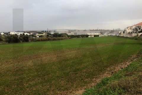 Terra a Carregado, Lisbon, Carregado - € 380.000 | Ref: KWPT-011568 - foto 11