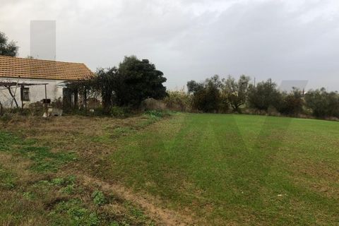Terra a Carregado, Lisbon, Carregado - € 380.000 | Ref: KWPT-011568 - foto 14