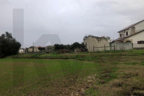 Terra a Carregado, Lisbon, Carregado - € 380.000 | Ref: KWPT-011568 - foto 17