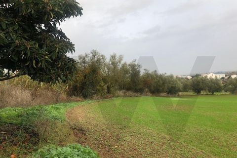 Terra a Carregado, Lisbon, Carregado - € 380.000 | Ref: KWPT-011568 - foto 19