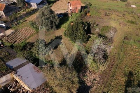Villa i Meirinhas, Leiria, Meirinhas - € 60.000 | Ref: KWPT-023643 - foto 20