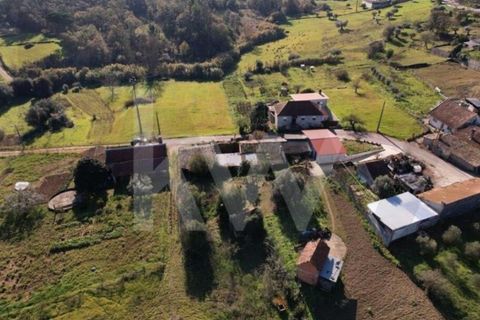 Villa i Meirinhas, Leiria, Meirinhas - € 60.000 | Ref: KWPT-023643 - foto 22