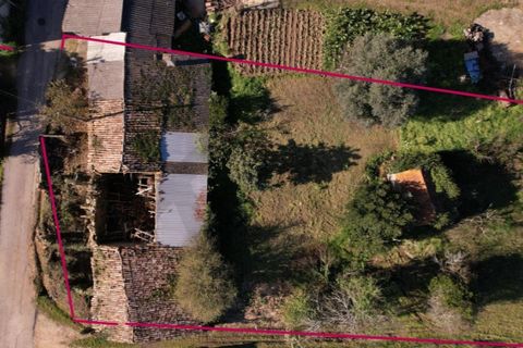 Villa i Meirinhas, Leiria, Meirinhas - € 60.000 | Ref: KWPT-023643 - foto 28