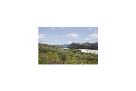 Farm i Torre de Moncorvo, Braganca, Torre de Moncorvo - € 650.000 | Ref: FIN_798 - foto 1