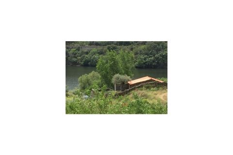 Farm i Torre de Moncorvo, Braganca, Torre de Moncorvo - € 650.000 | Ref: FIN_798 - foto 2