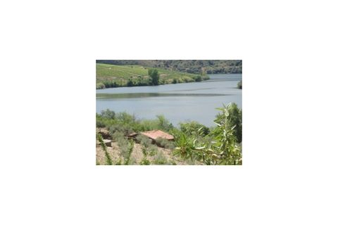 Farm i Torre de Moncorvo, Braganca, Torre de Moncorvo - € 650.000 | Ref: FIN_798 - foto 7