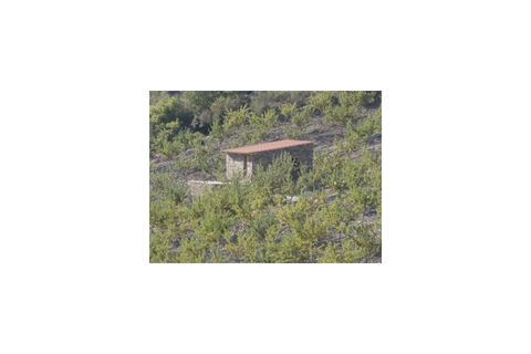 Farm i Torre de Moncorvo, Braganca, Torre de Moncorvo - € 650.000 | Ref: FIN_798 - foto 8