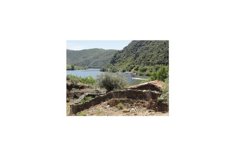 Farm i Torre de Moncorvo, Braganca, Torre de Moncorvo - € 650.000 | Ref: FIN_798 - foto 9