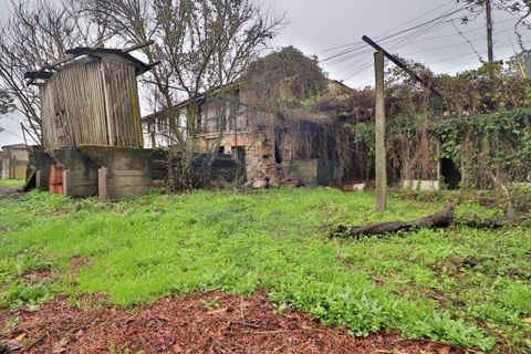 Landejendom i Braga, Braga, Braga - € 228.000 | Ref: 013-4306 - foto 5