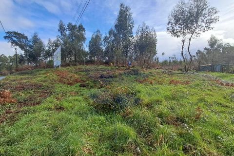 Helårsgrund i Vila Verde, Braga, Vila Verde - € 59.000 | Ref: 013-4301_A - foto 10