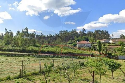 Helårsgrund i Vila Verde, Braga, Vila Verde - € 59.000 | Ref: 013-4301_A - foto 11