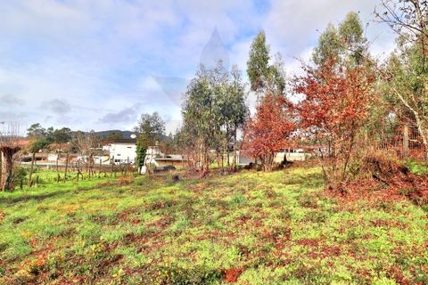 Helårsgrund i Vila Verde, Braga, Vila Verde - € 59.000 | Ref: 013-4301_A - foto 13