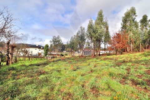 Helårsgrund i Vila Verde, Braga, Vila Verde - € 59.000 | Ref: 013-4301_A - foto 15