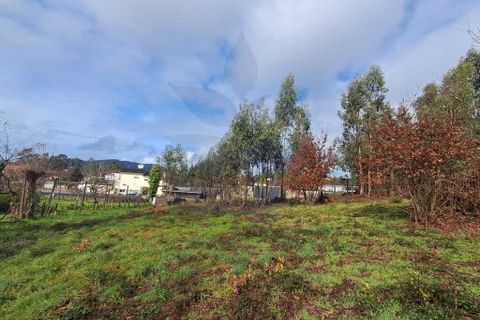 Helårsgrund i Vila Verde, Braga, Vila Verde - € 59.000 | Ref: 013-4301_A - foto 21
