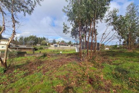 Helårsgrund i Vila Verde, Braga, Vila Verde - € 59.000 | Ref: 013-4301_A - foto 22