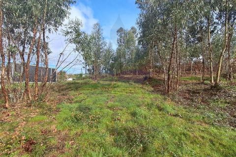 Helårsgrund i Vila Verde, Braga, Vila Verde - € 59.000 | Ref: 013-4301_A - foto 23