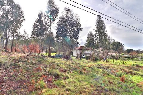 Helårsgrund i Vila Verde, Braga, Vila Verde - € 59.000 | Ref: 013-4301_A - foto 27