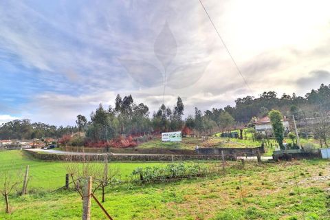 Helårsgrund i Vila Verde, Braga, Vila Verde - € 59.000 | Ref: 013-4301_A - foto 30