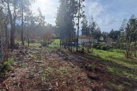 Helårsgrund i Vila Verde, Braga, Vila Verde - € 59.000 | Ref: 013-4301 - foto 16