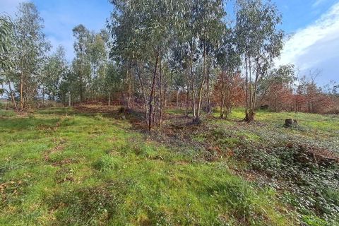Helårsgrund i Vila Verde, Braga, Vila Verde - € 59.000 | Ref: 013-4301 - foto 24