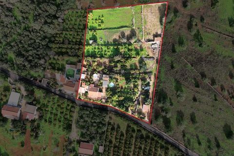 Farm i Silves, Faro, Silves - € 650.000 | Ref: NU_5919 - foto 2