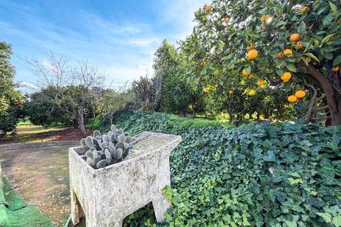 Farm i Silves, Faro, Silves - € 650.000 | Ref: NU_5919 - foto 6